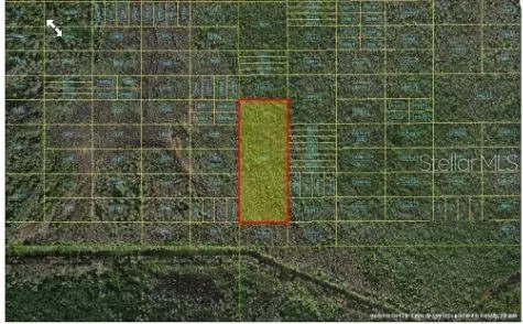 Holopaw Groves Road, FL