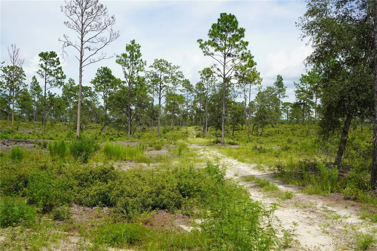State Road 121 Lot A & B, FL