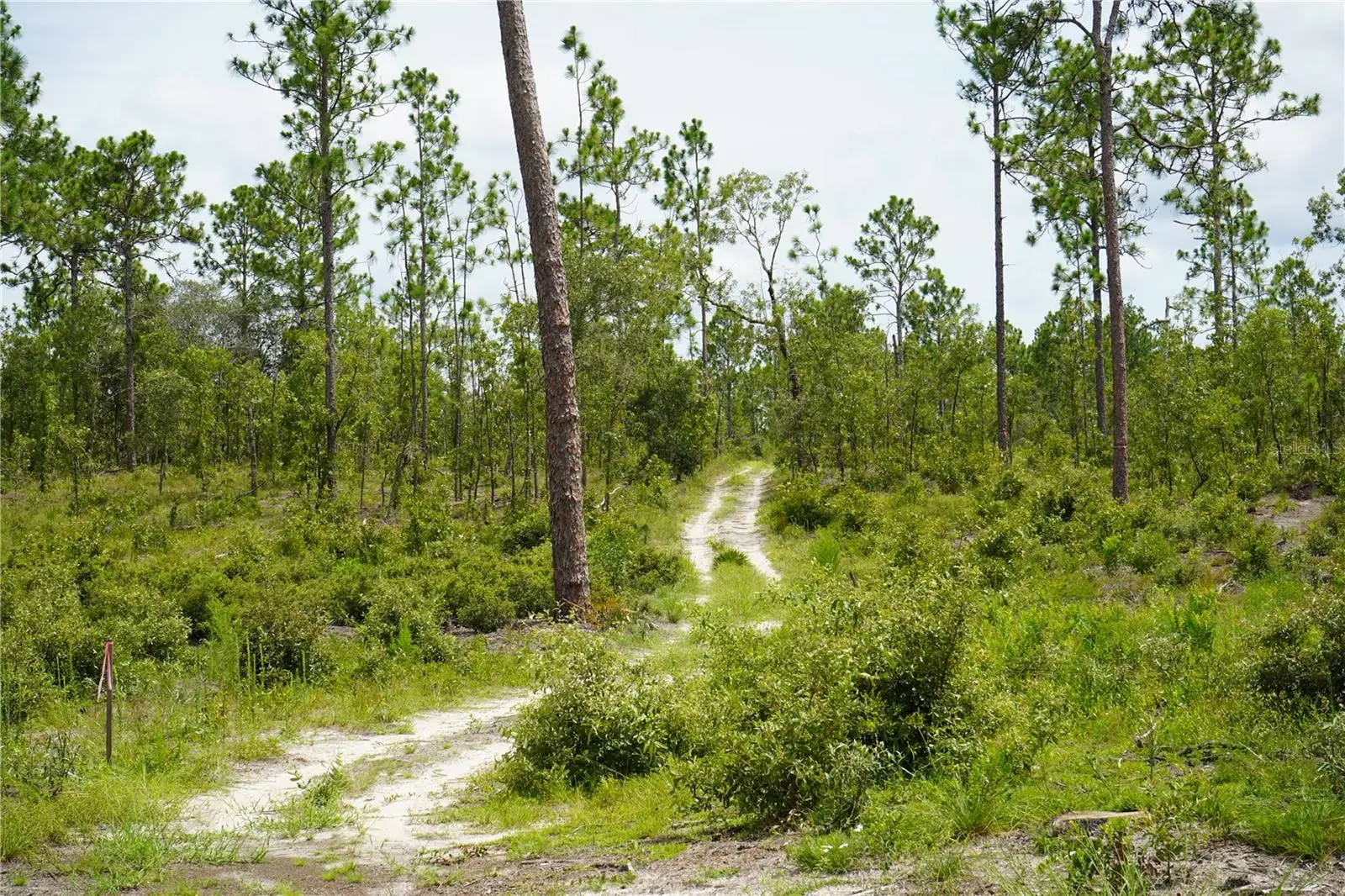State Road 121 Lot A & B, FL