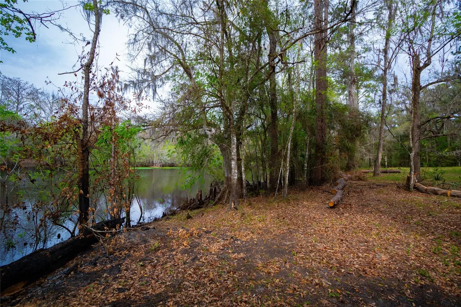 7822 Cr 647, FL