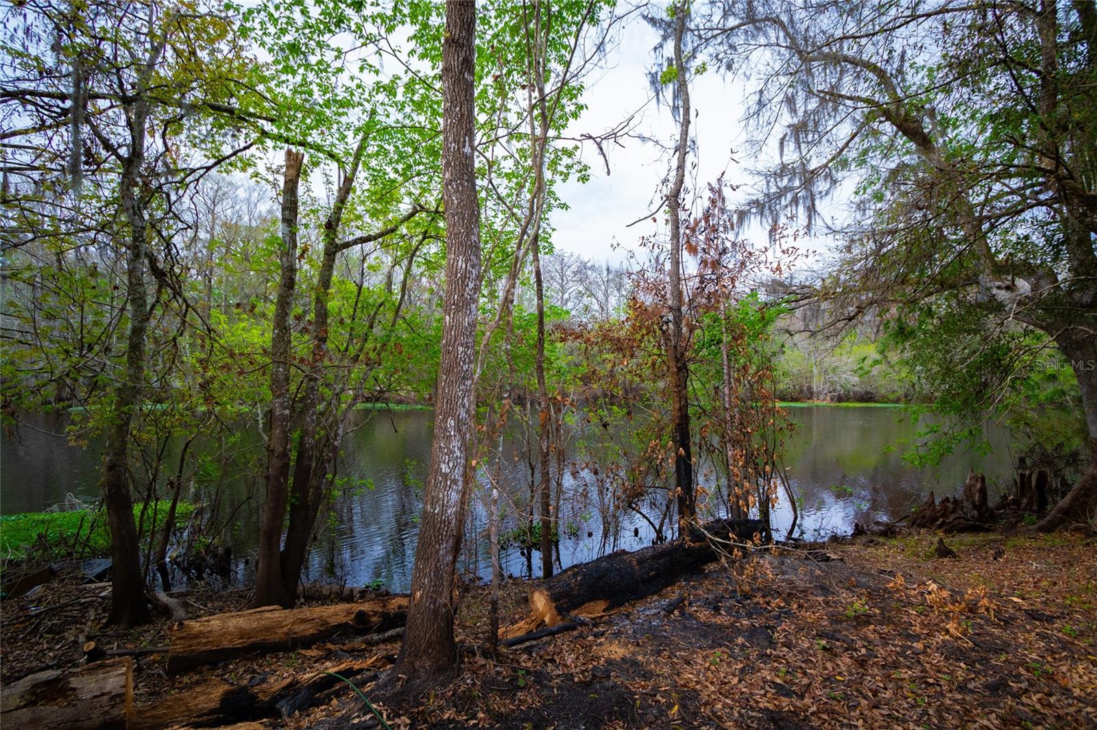 7822 Cr 647, FL