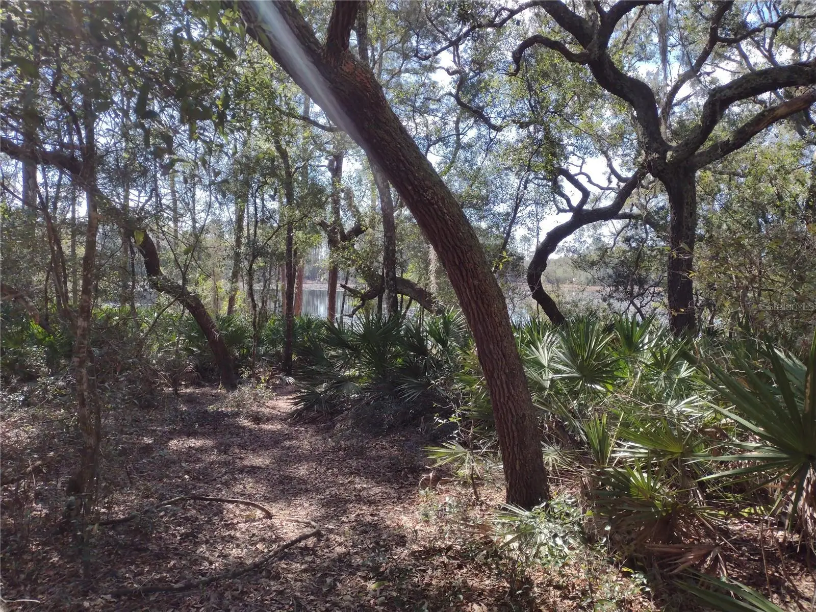 89 Tucker Lake Road, FL