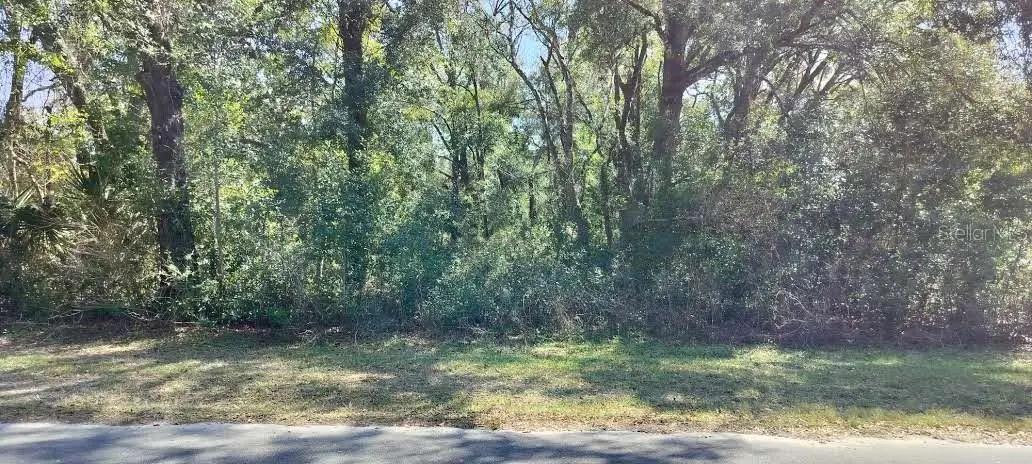 517 Savary Avenue, FL