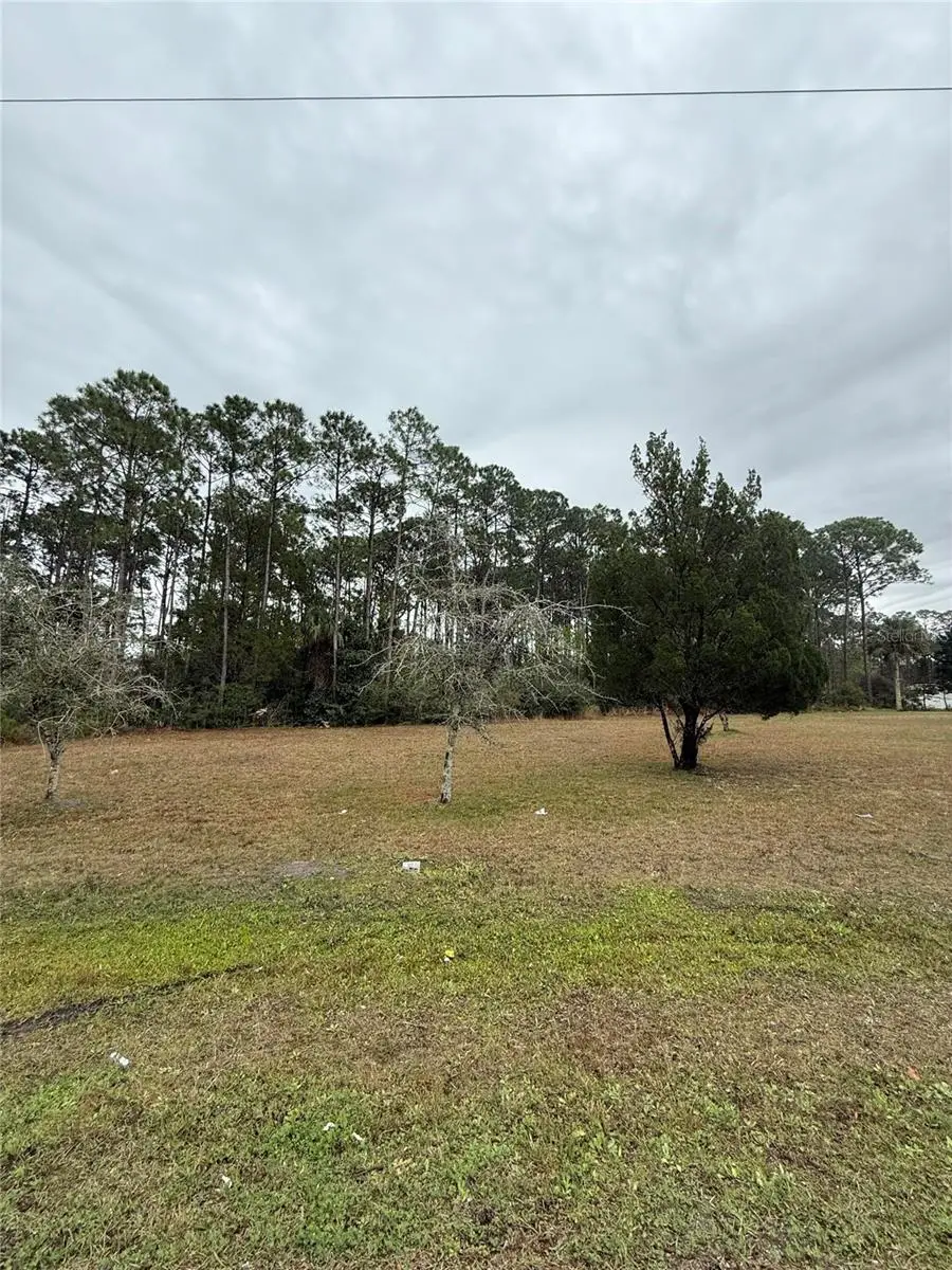 245 Ullian Trail, FL