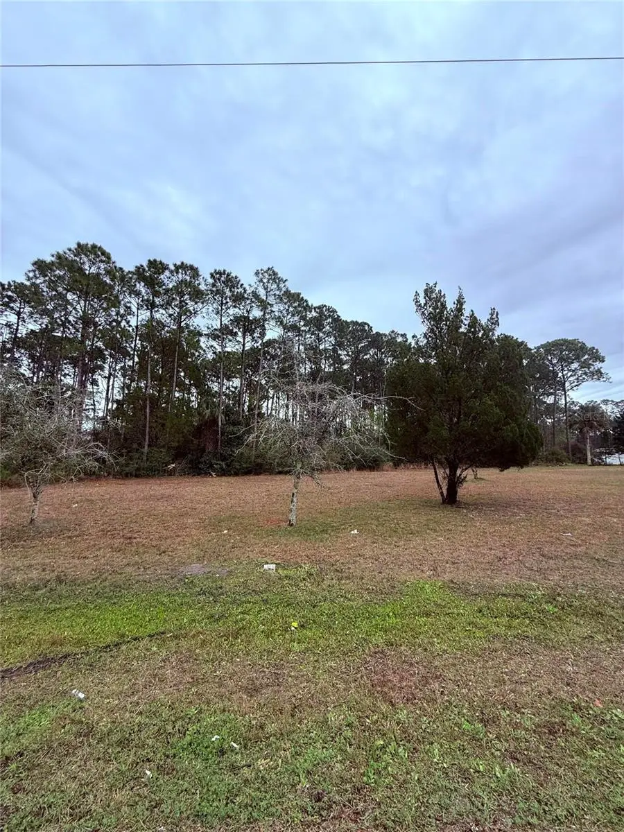 245 Ullian Trail, FL