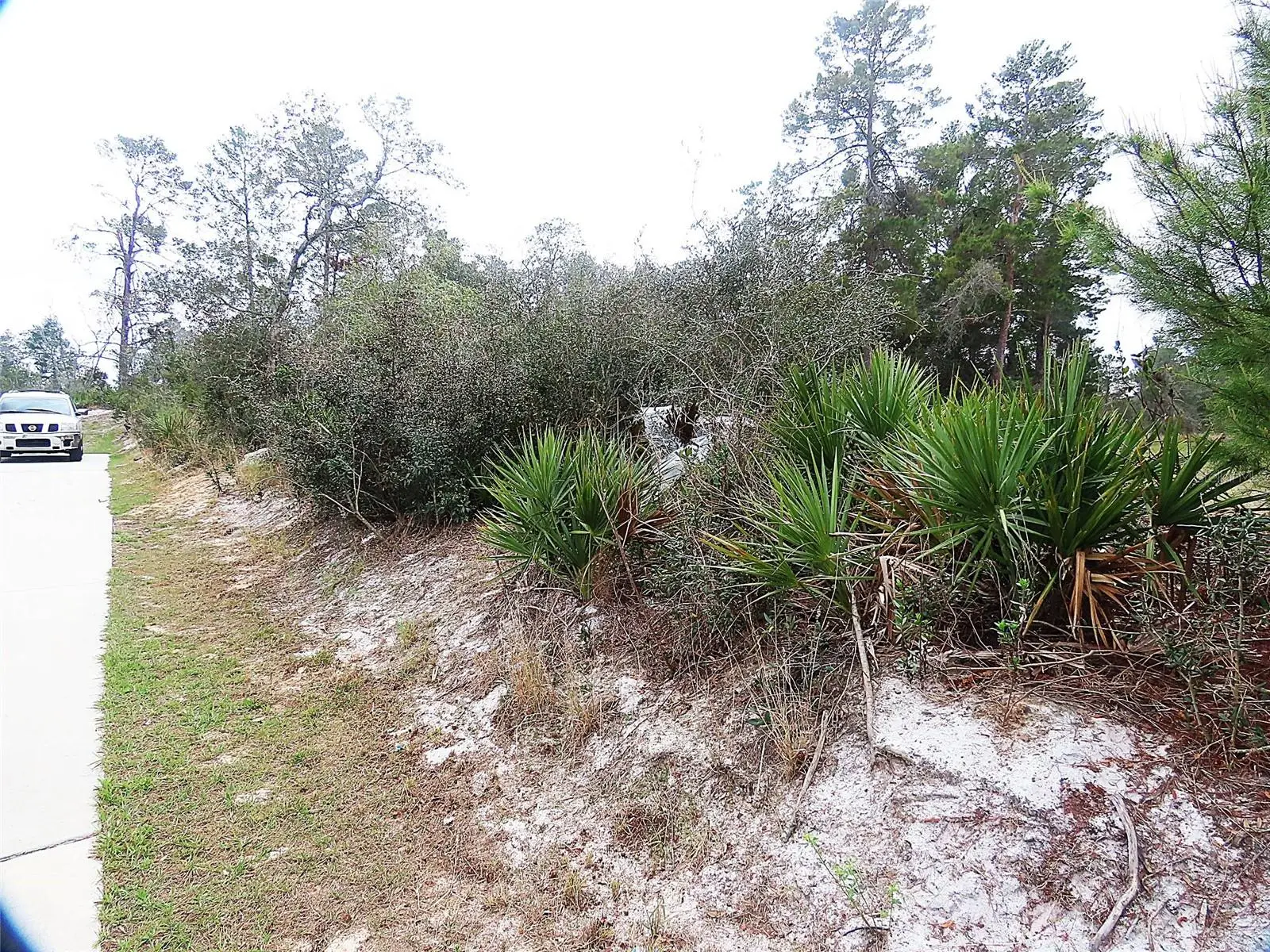 71 Orchid Court, FL