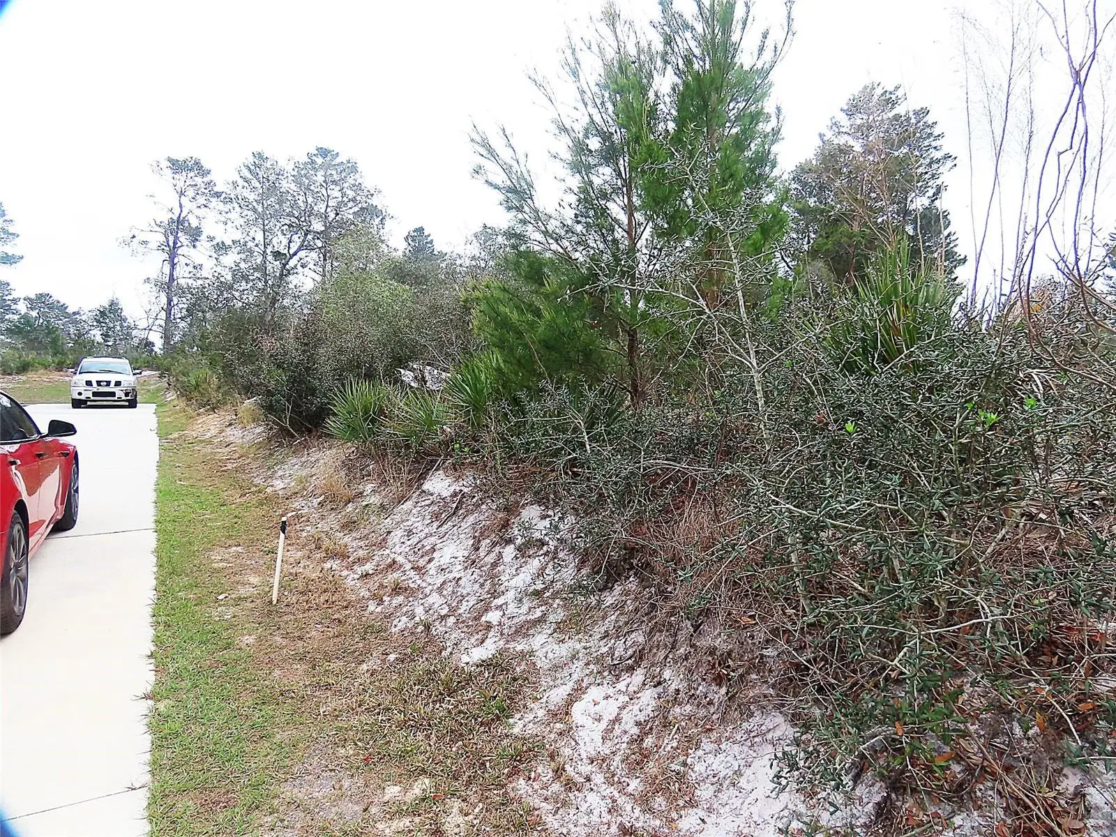 71 Orchid Court, FL