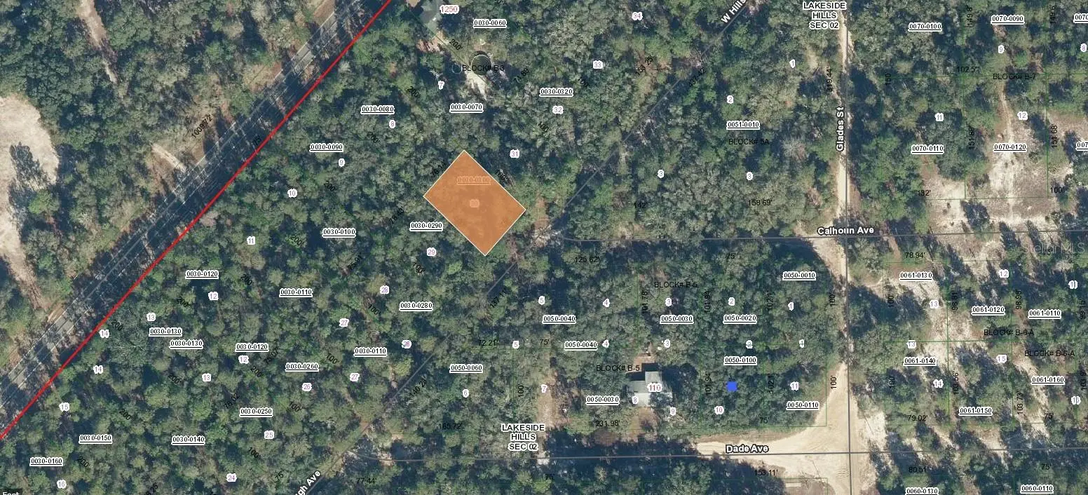 118 Hillsborough Avenue, FL