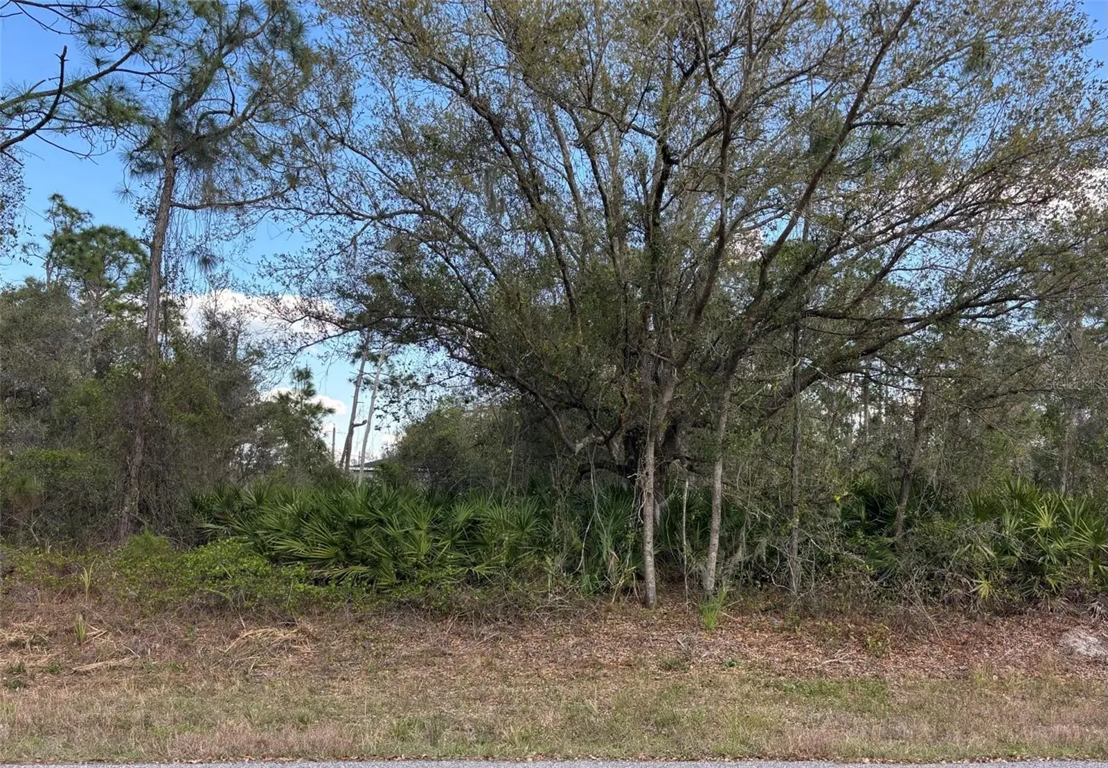 74 Baldur Drive, FL
