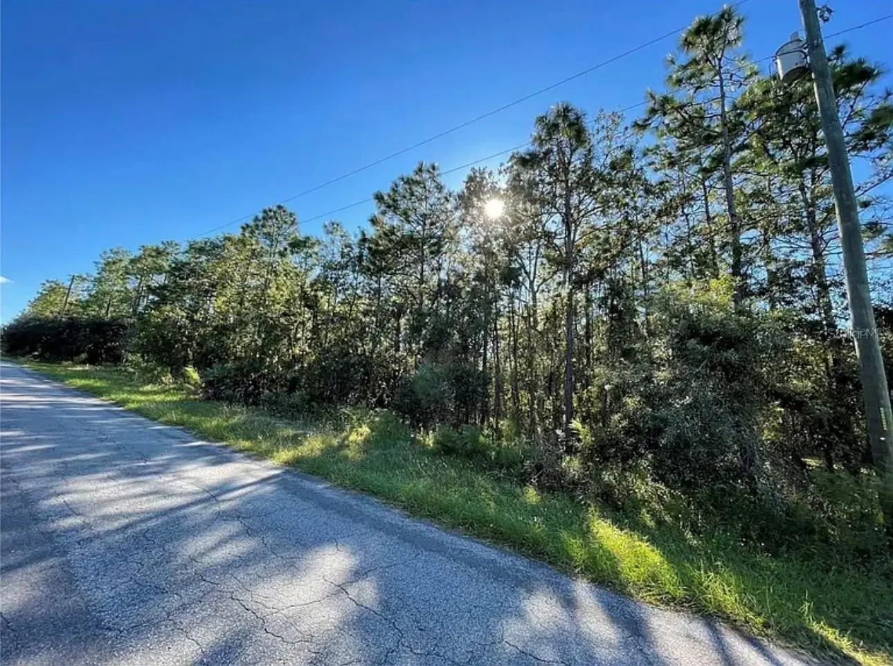 16 Mayten Court, FL