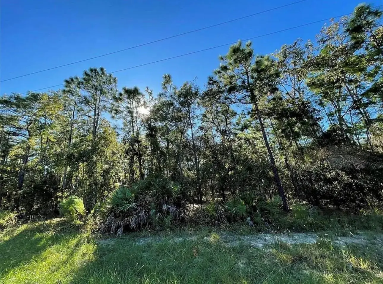 16 Mayten Court, FL