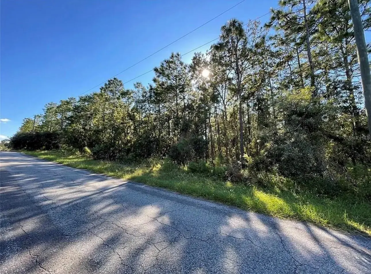 16 Mayten Court, FL
