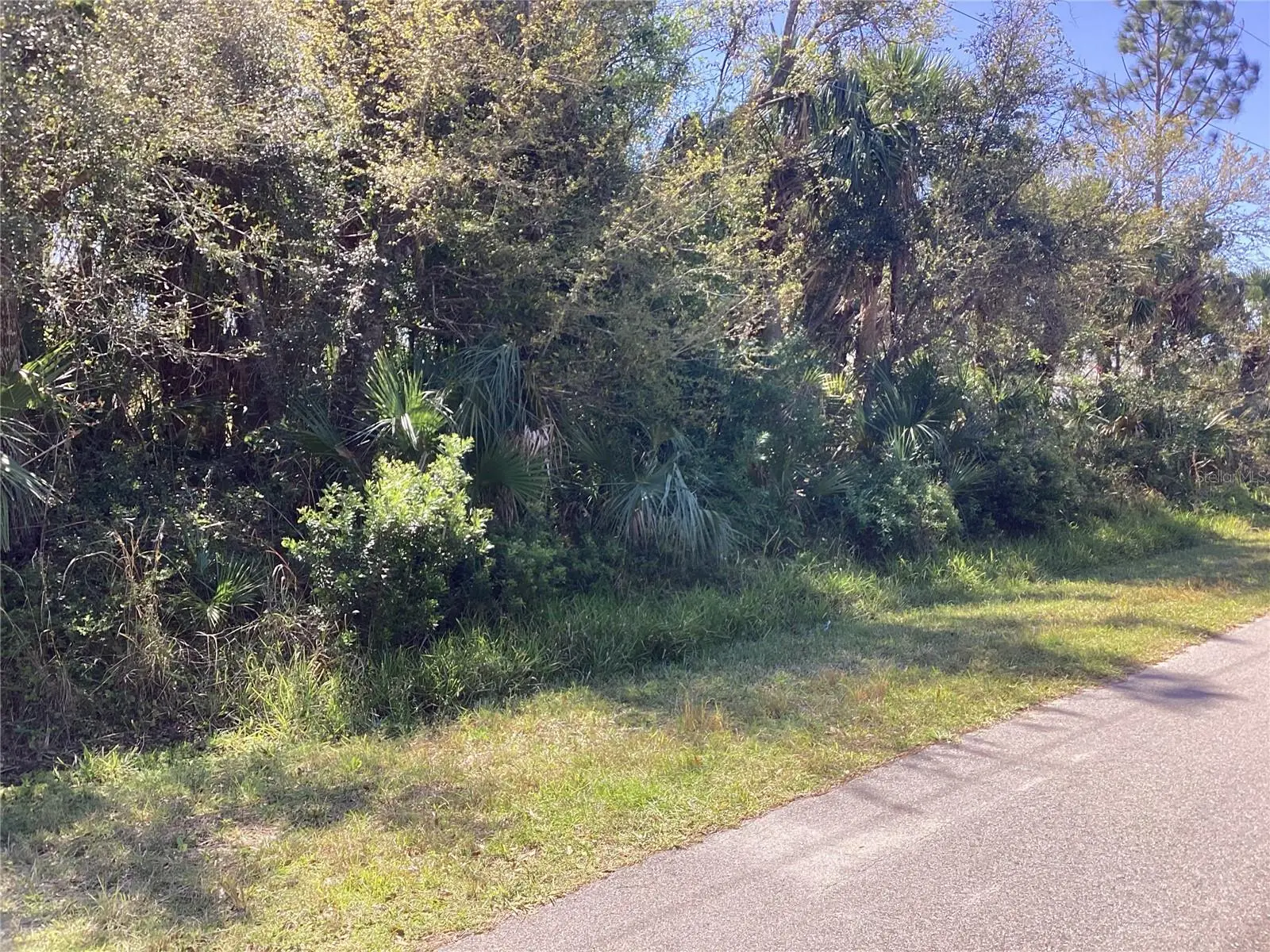 Belleville Terrace, FL