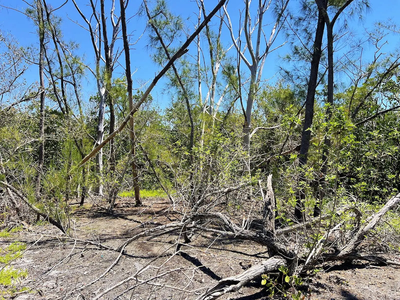 Manasota Key Island Property, FL