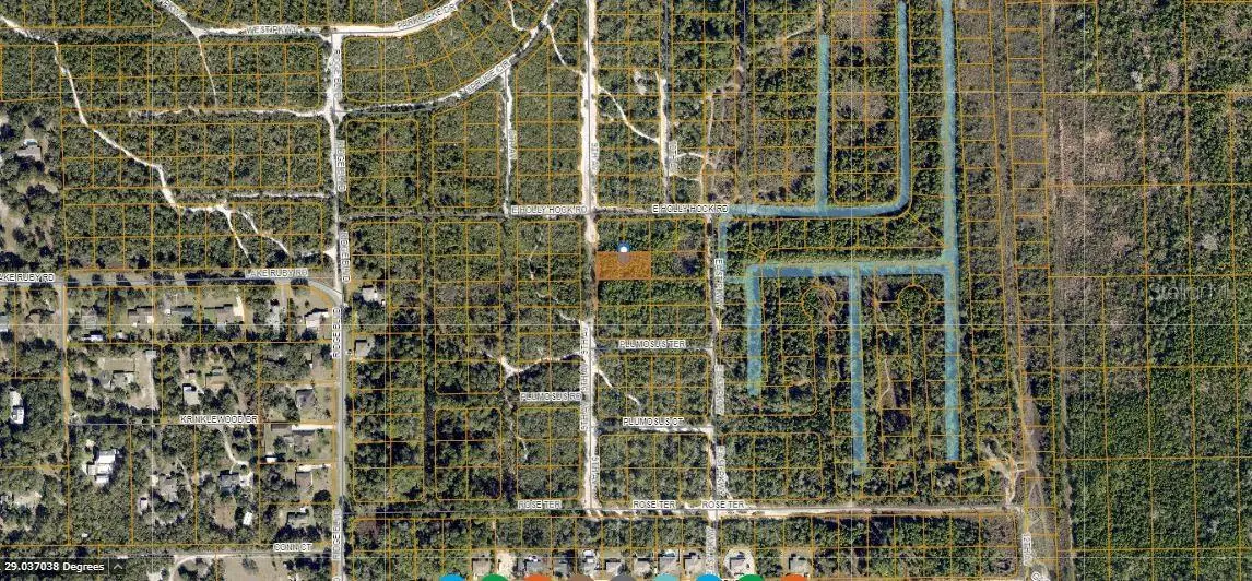 Hollyhock E, FL