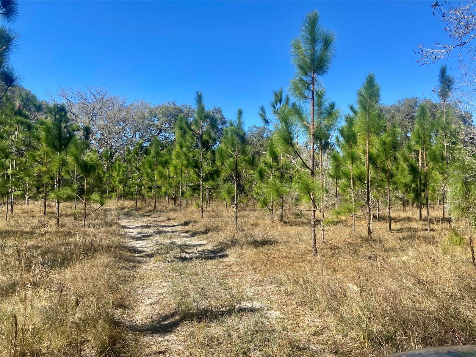 01 Unnamed, FL