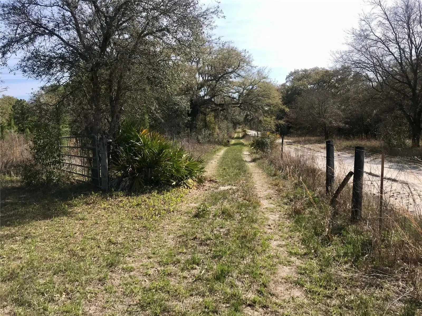 01 Unnamed, FL