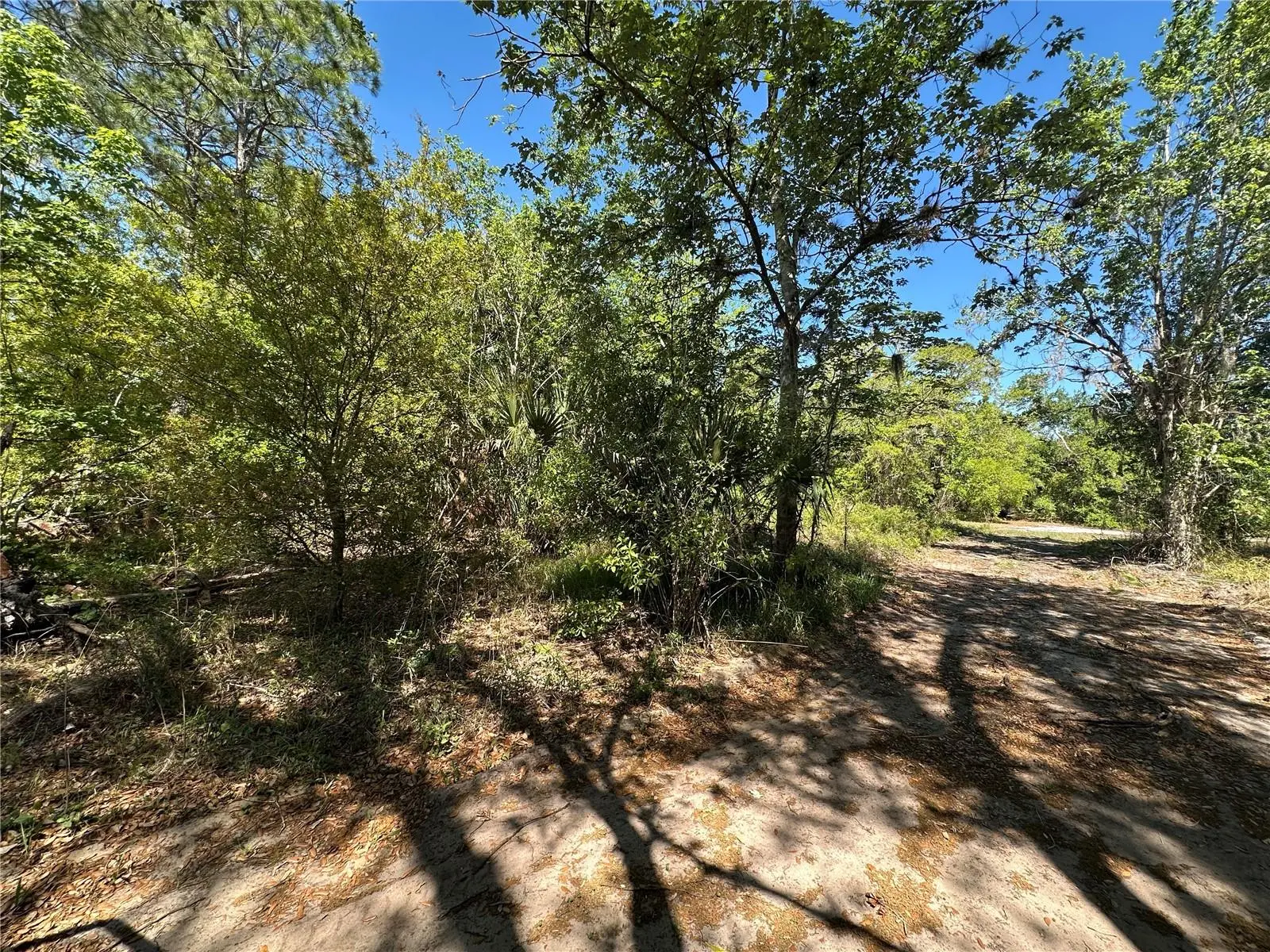 268 Spoonbill Drive, FL