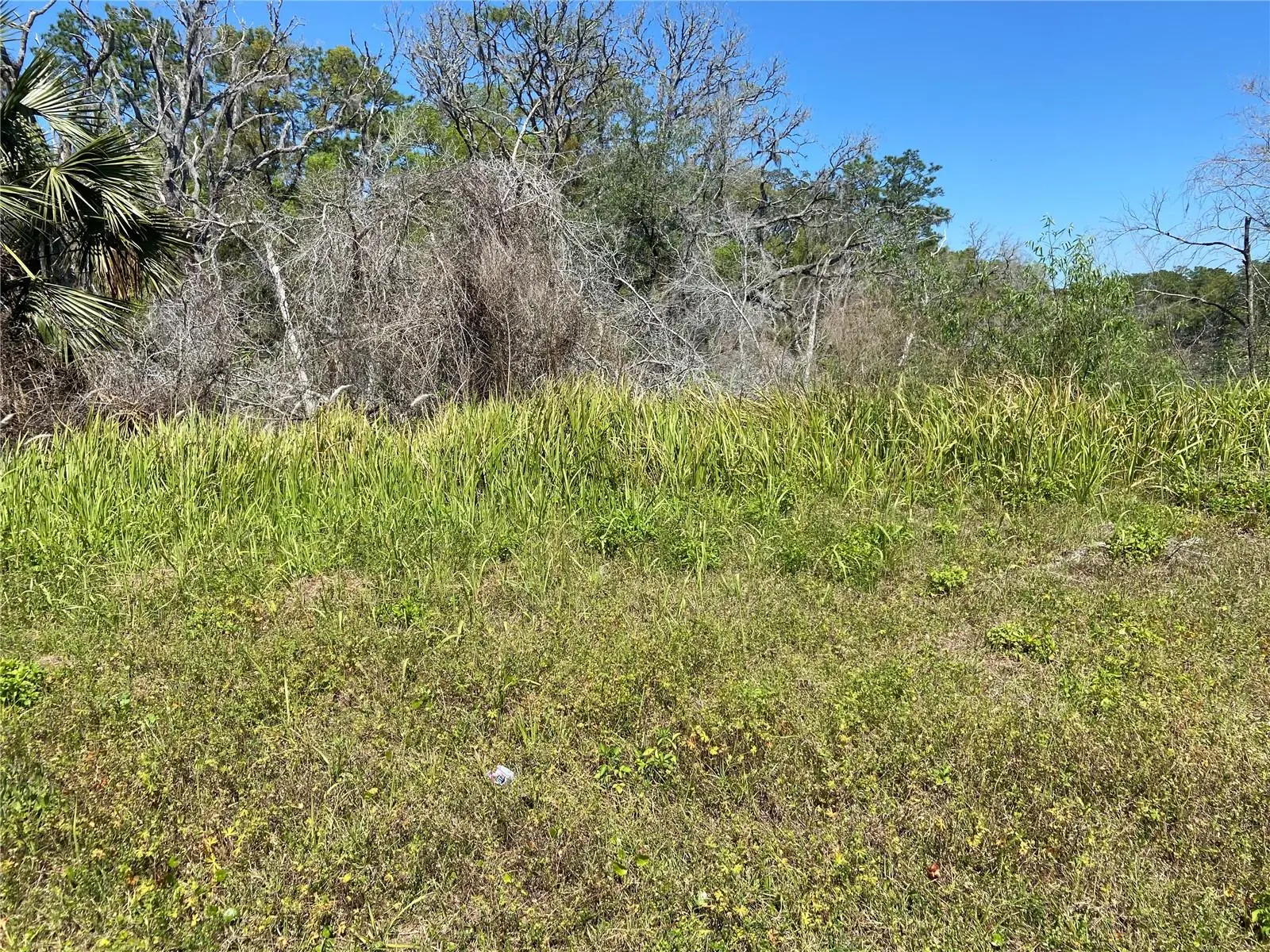 Parcel 27 15 30 00 00 0200, FL