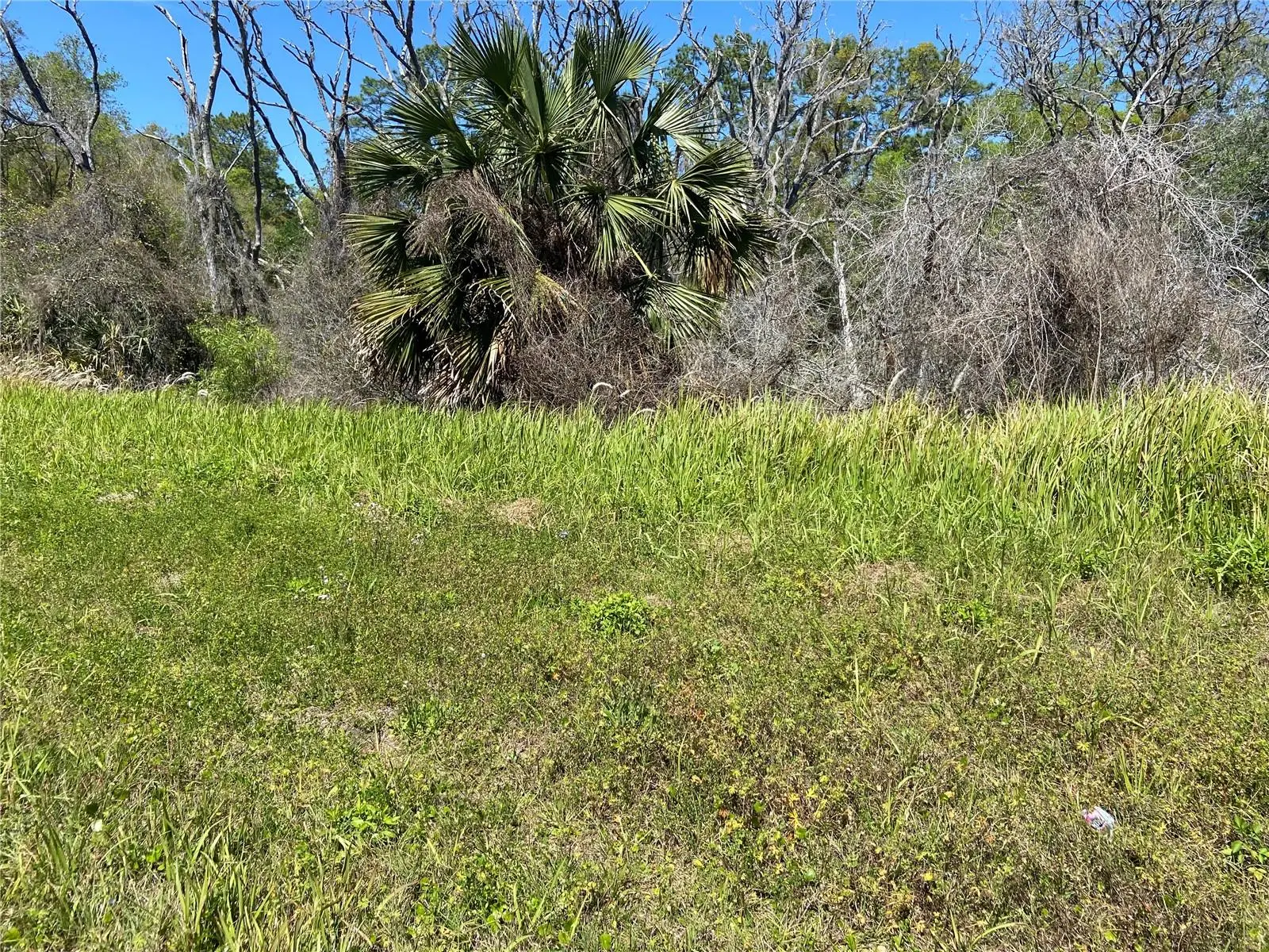 Parcel 27 15 30 00 00 0200, FL