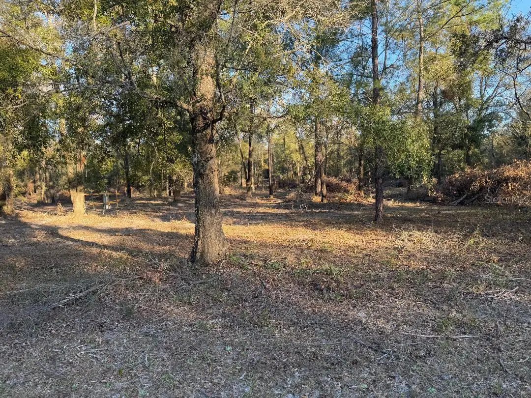 Roanoke Terrace, FL
