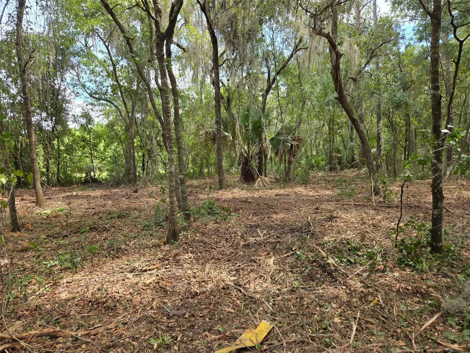 8903 225th Drive, FL