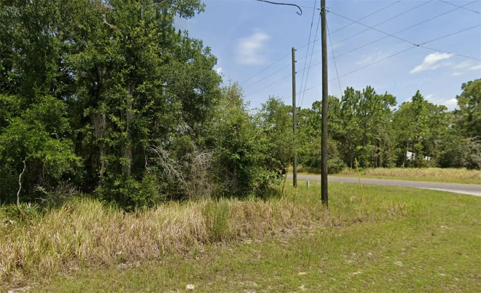 Lot 19 Locust Pass Lane, FL