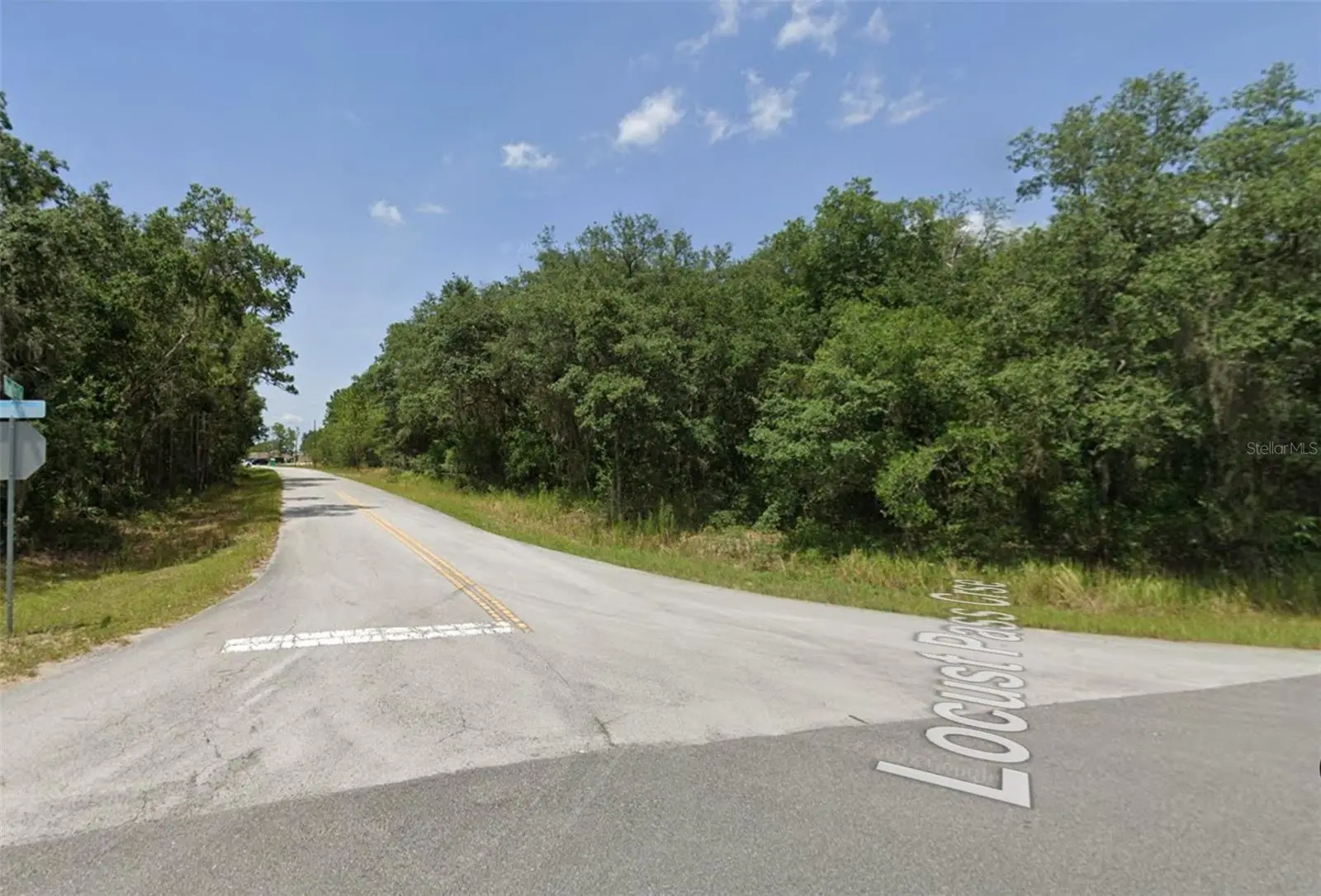 Lot 19 Locust Pass Lane, FL