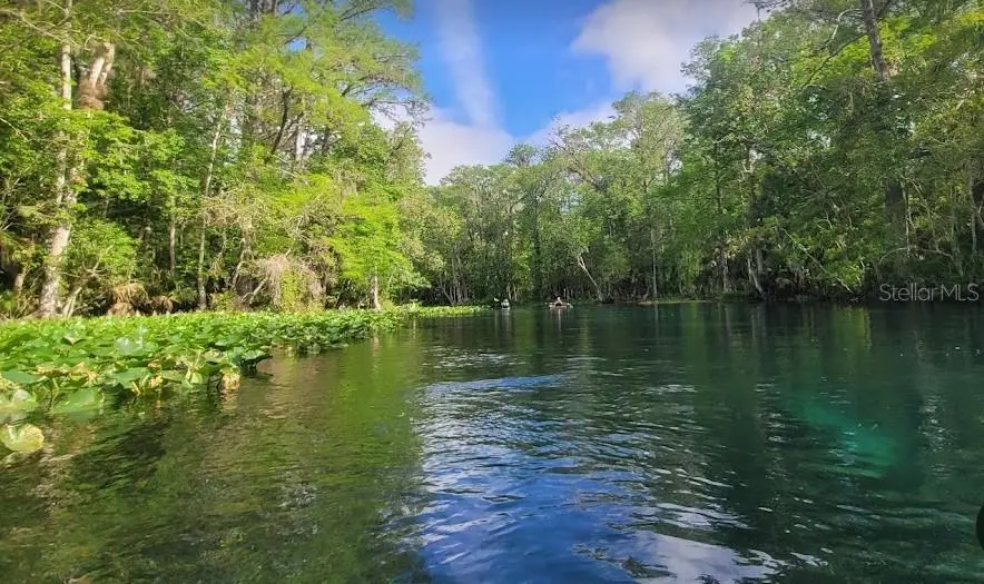 Lot 1 Locust Pass Course, FL