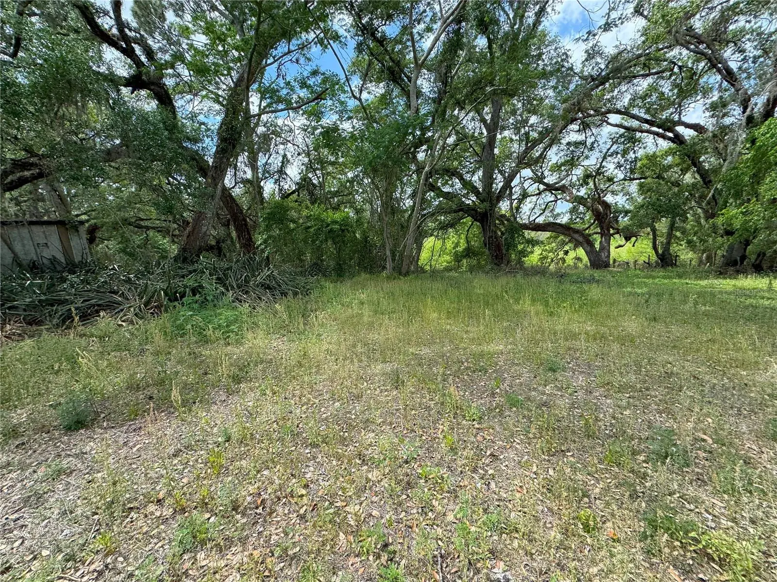 3221 Dublin Road, FL