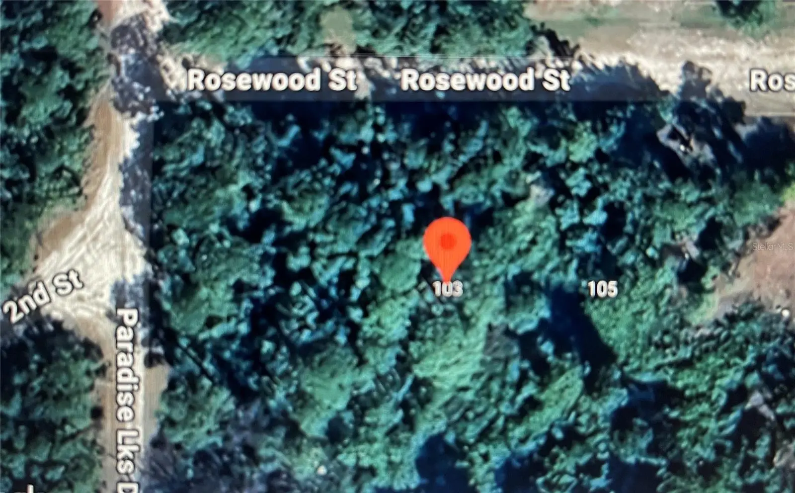 103 Rosewood Street, FL