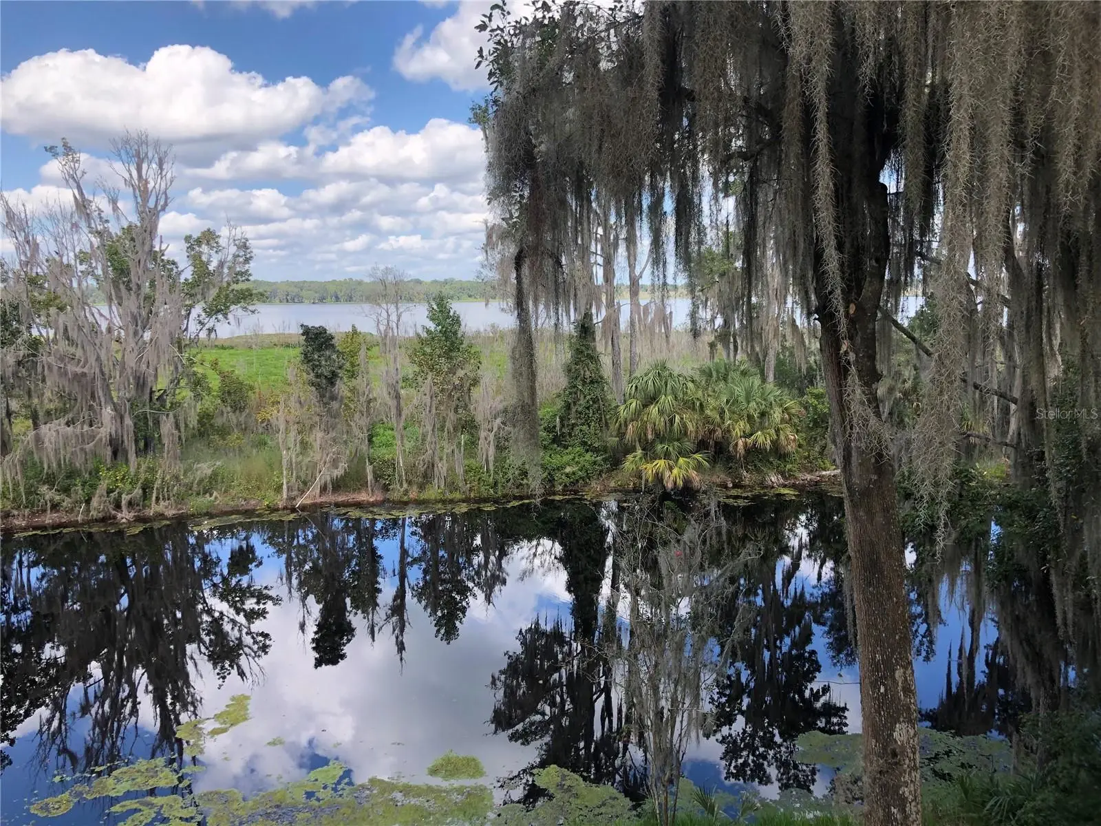 216 Little Orange Lake Drive, FL