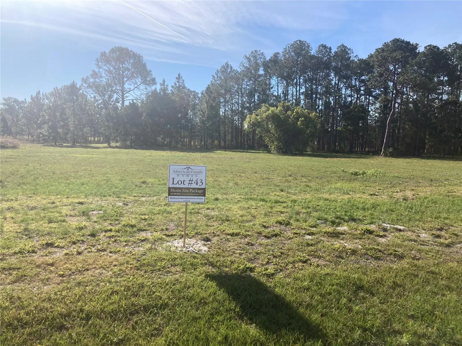 38518 Wooded Meadow Drive, FL