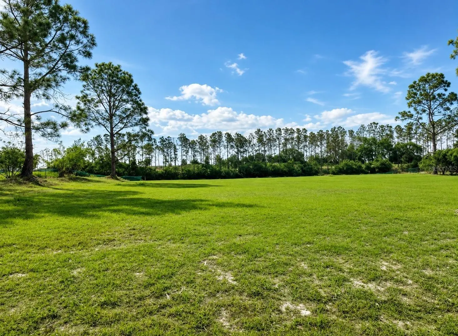 Lake Denise Boulevard, FL
