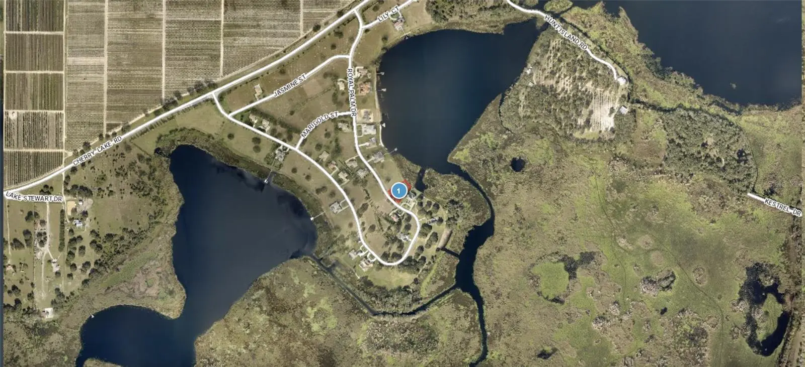 Lot 39 Royal Palm Drive, FL