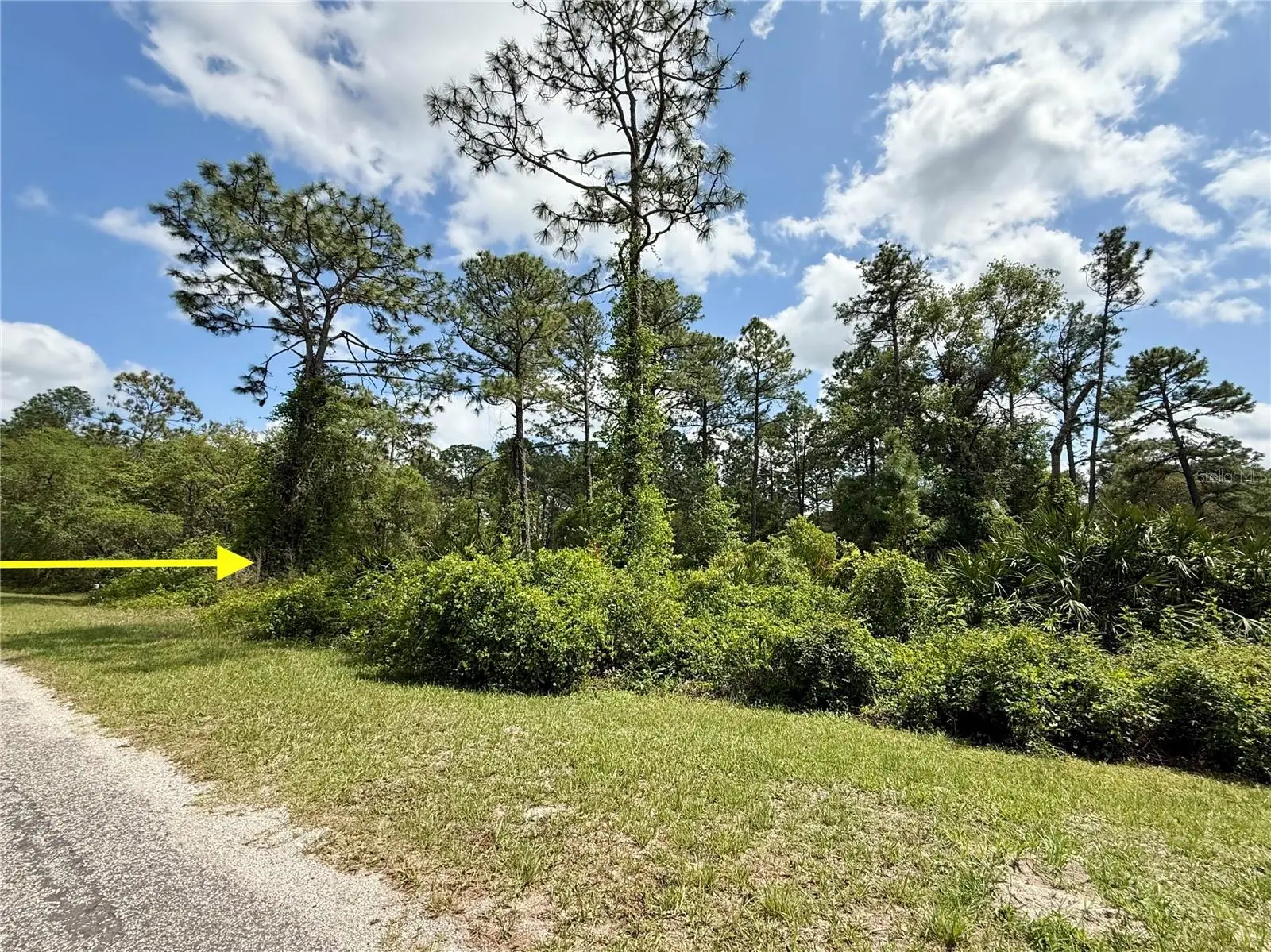 Lot 2 Quince Avenue, FL