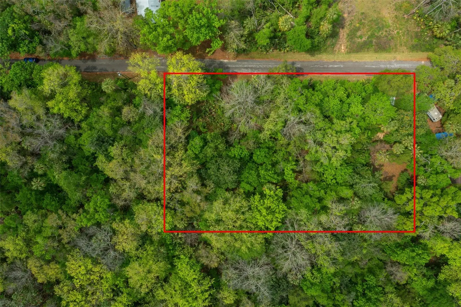 5043 Palo Verde Point, FL