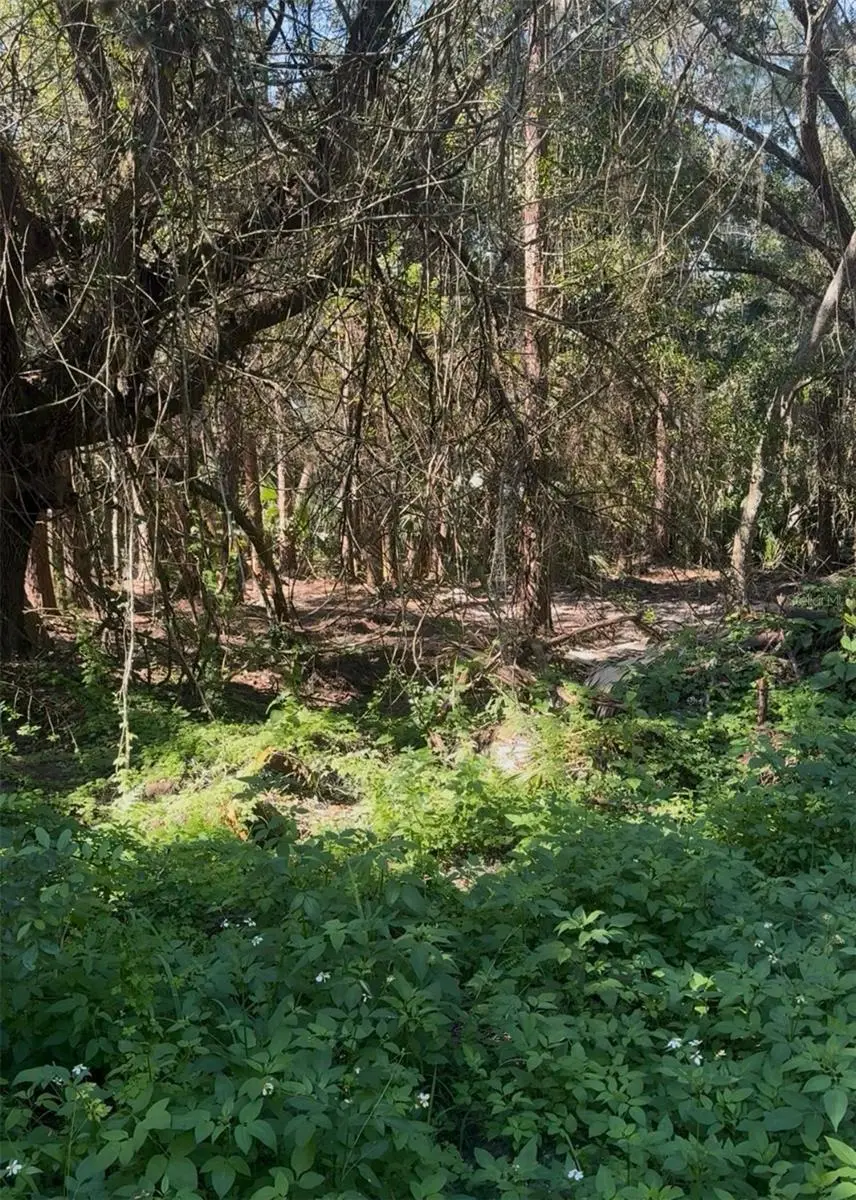 Cr-138, FL