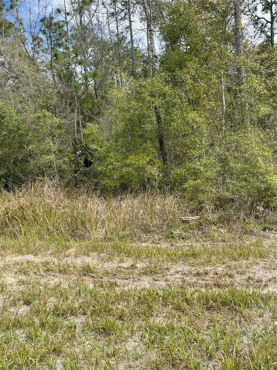 14139 Pigeon Rd