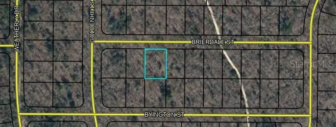 Lot 3 Brierdale Street, FL