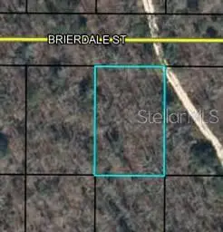 Lot 6 Brierdale Street, FL