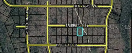 Lot 6 Brierdale Street, FL