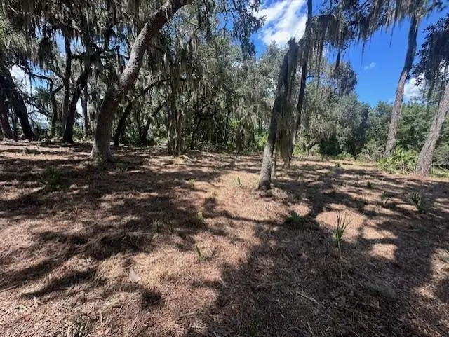 356 Drayton Island Road, FL