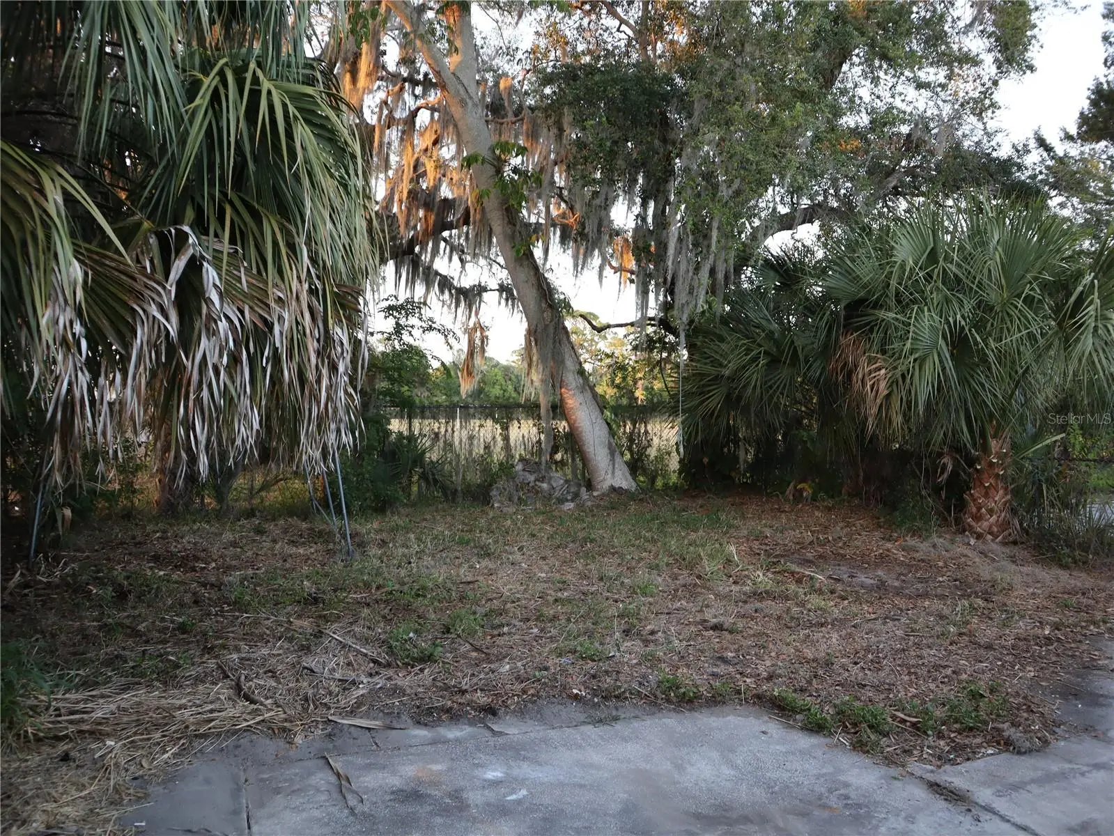 703 Venus Drive, FL
