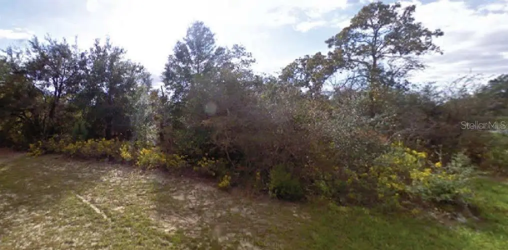 Beck Court, FL