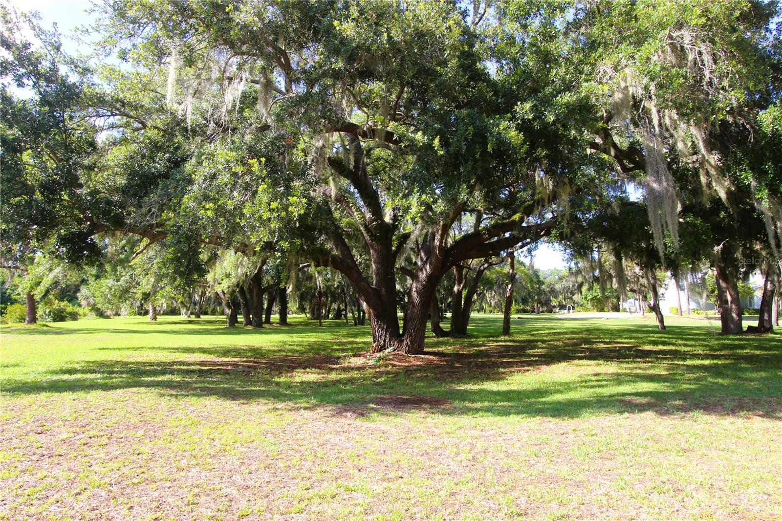 151 Apache Court, FL
