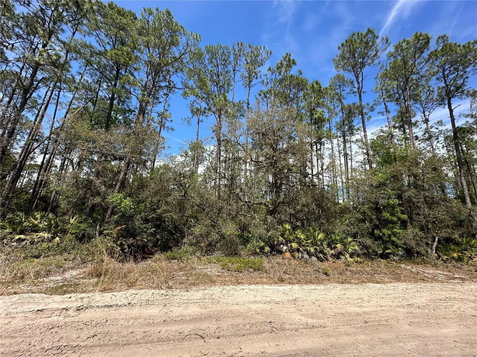206 Hudson Street, FL