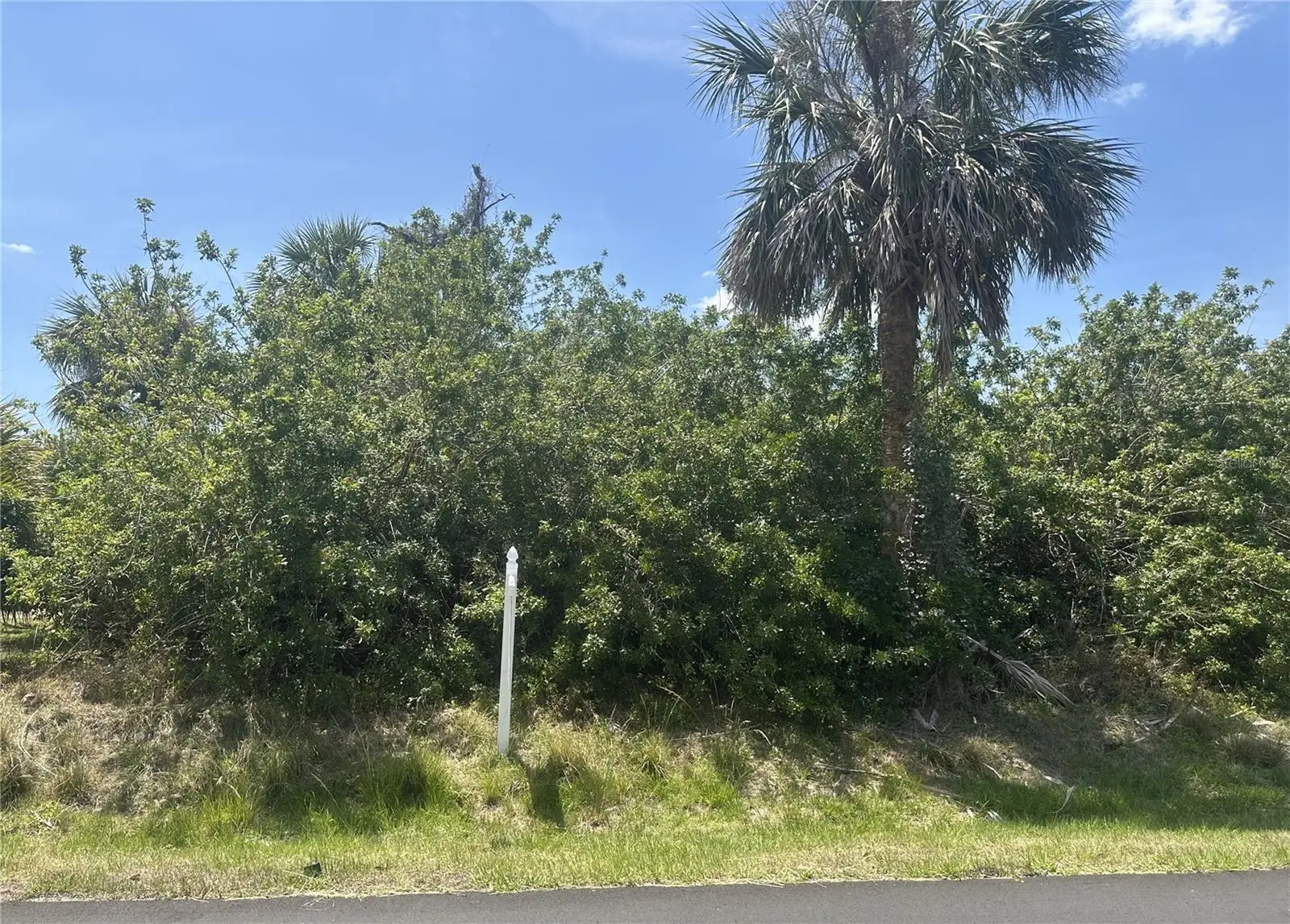 4225 Swensson Street, FL