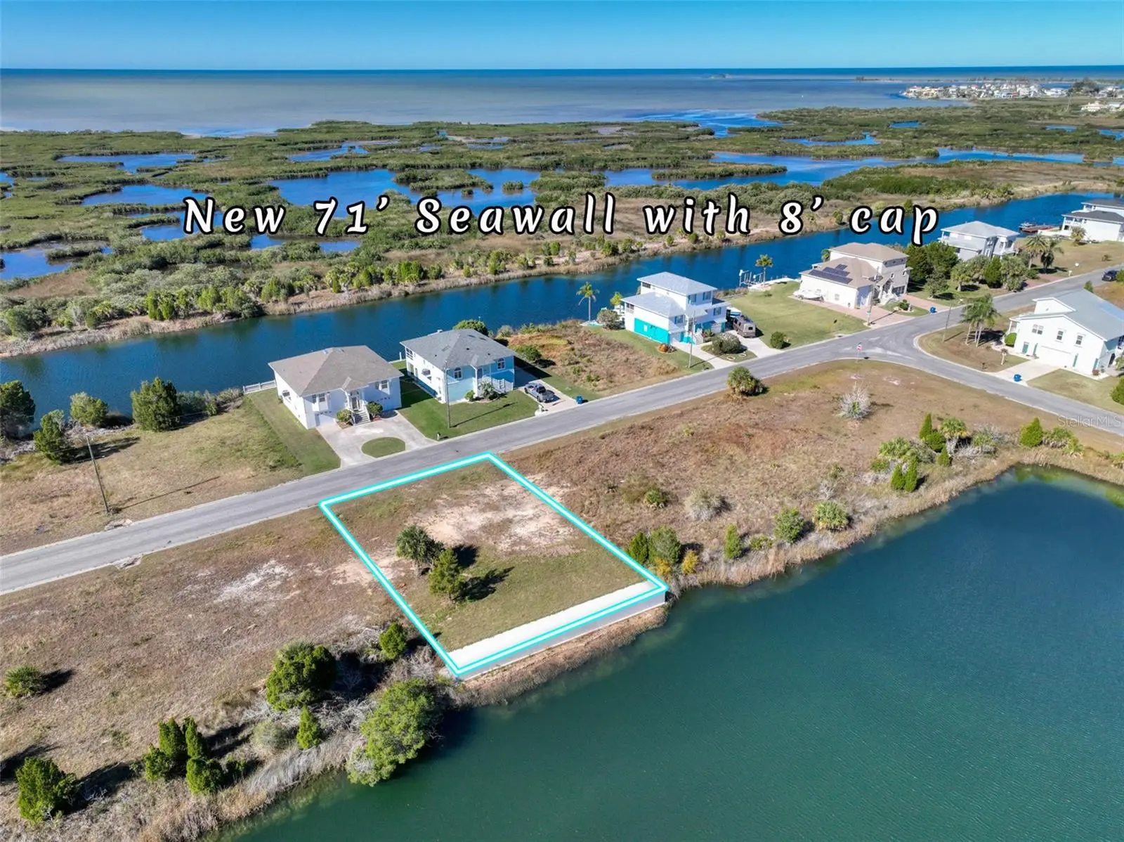 3266 Lugustrum Drive, FL