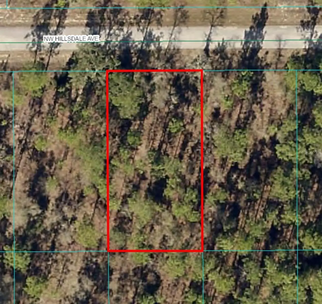 Lot 15 Hillsdale Avenue, FL